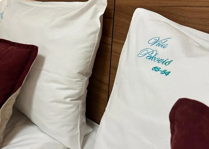 S 54 Lejlighed Zlatibor